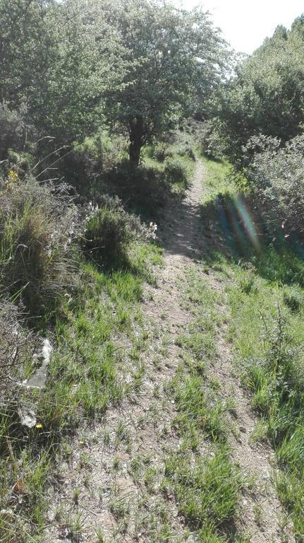 La Muralla Retortillo de Soria Eksteriør billede